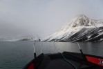 Svalbard show