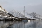 Svalbard show