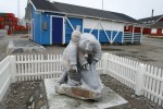 Grenlandia 2013 Narsarsuaq - Ilulissat