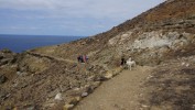 Wyspy Selvagen, Ilhas Selvagens rzadko są celem wypraw żeglarskich – odwiedziliśmy je w trakcie naszego ostatniego krótkiego rejsu z Madery na Teneryfę. 
Wyspy Selvagen wciąż pozostają nieznane.do dziś bezludne, nieskażone działalnością człowieka, dzikie i tajemnicze, a zarazem bardzo surowe. 
