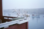 Nuuk- Illulisat
Zdjęcia z wyprawy 2013 s/y Nashachata 