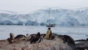 Zdjecia z wyprawy na południową półkule i Antarktydę.